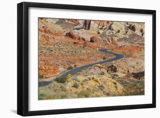Desert Roads II-Lee Peterson-Framed Photographic Print