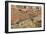 Desert Roads II-Lee Peterson-Framed Photographic Print