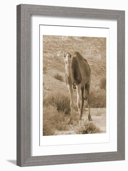 Desert Runner 2-Sheldon Lewis-Framed Art Print