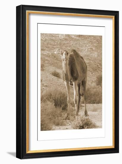 Desert Runner 2-Sheldon Lewis-Framed Art Print