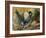 Desert Runner-Trevor V. Swanson-Framed Premium Giclee Print