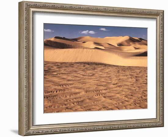 Desert, Sahara, Sand Dunes-Thonig-Framed Photographic Print