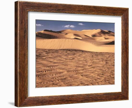 Desert, Sahara, Sand Dunes-Thonig-Framed Photographic Print