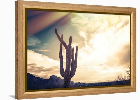 Desert Scene in Arizona as Sen Set - Saguaro Cactus Tree in Foreground-BCFC-Framed Premier Image Canvas