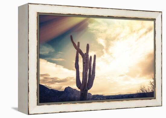 Desert Scene in Arizona as Sen Set - Saguaro Cactus Tree in Foreground-BCFC-Framed Premier Image Canvas
