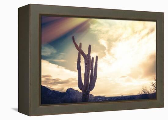 Desert Scene in Arizona as Sen Set - Saguaro Cactus Tree in Foreground-BCFC-Framed Premier Image Canvas