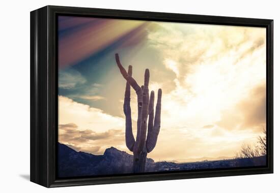 Desert Scene in Arizona as Sen Set - Saguaro Cactus Tree in Foreground-BCFC-Framed Premier Image Canvas