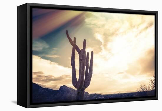 Desert Scene in Arizona as Sen Set - Saguaro Cactus Tree in Foreground-BCFC-Framed Premier Image Canvas