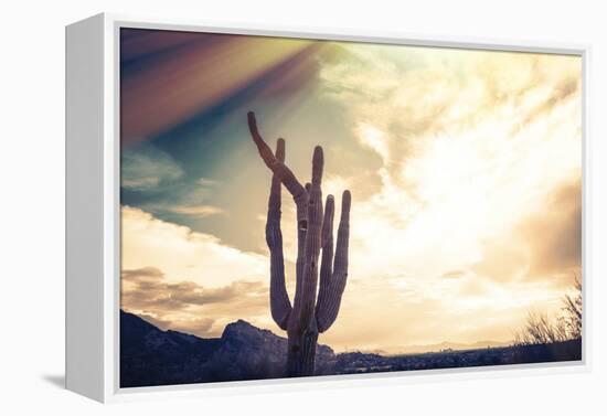 Desert Scene in Arizona as Sen Set - Saguaro Cactus Tree in Foreground-BCFC-Framed Premier Image Canvas