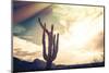 Desert Scene in Arizona as Sen Set - Saguaro Cactus Tree in Foreground-BCFC-Mounted Premium Photographic Print