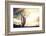 Desert Scene in Arizona as Sen Set - Saguaro Cactus Tree in Foreground-BCFC-Framed Photographic Print