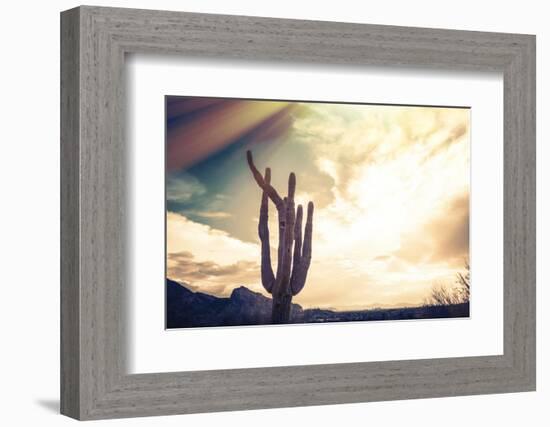 Desert Scene in Arizona as Sen Set - Saguaro Cactus Tree in Foreground-BCFC-Framed Photographic Print