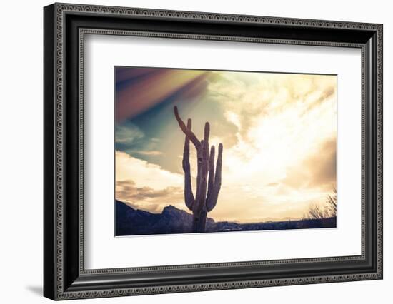Desert Scene in Arizona as Sen Set - Saguaro Cactus Tree in Foreground-BCFC-Framed Photographic Print
