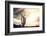 Desert Scene in Arizona as Sen Set - Saguaro Cactus Tree in Foreground-BCFC-Framed Photographic Print