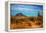 Desert Scene in Scottsdale, AZ-null-Framed Stretched Canvas