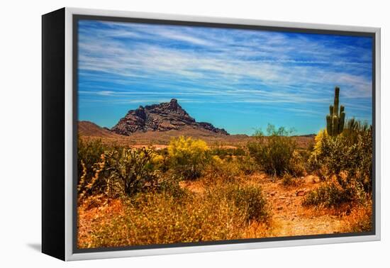 Desert Scene in Scottsdale, AZ-null-Framed Stretched Canvas