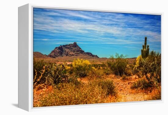 Desert Scene in Scottsdale, AZ-null-Framed Stretched Canvas