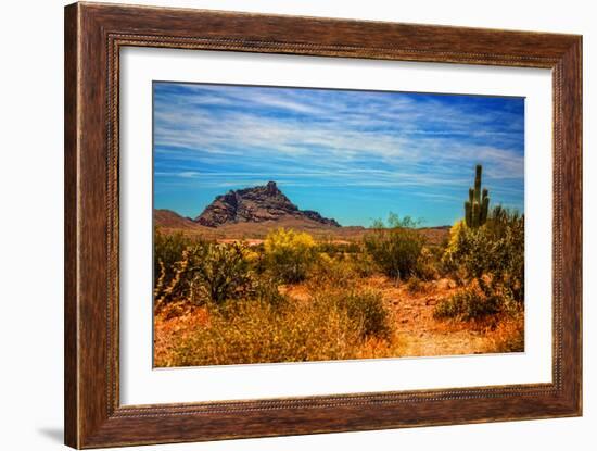 Desert Scene in Scottsdale, AZ-null-Framed Photo