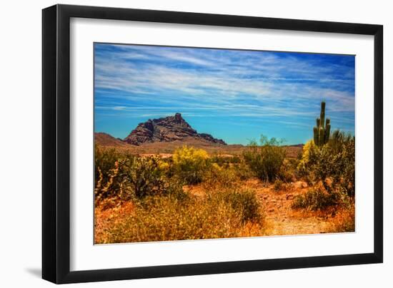 Desert Scene in Scottsdale, AZ-null-Framed Photo