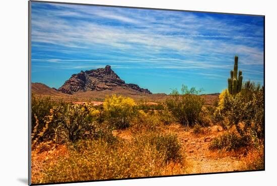 Desert Scene in Scottsdale, AZ-null-Mounted Photo
