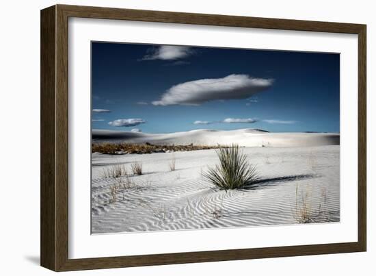 Desert Scene in USA-Jody Miller-Framed Photographic Print