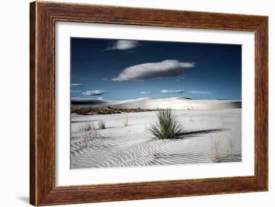 Desert Scene in USA-Jody Miller-Framed Photographic Print