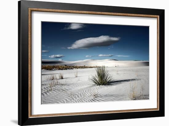 Desert Scene in USA-Jody Miller-Framed Photographic Print