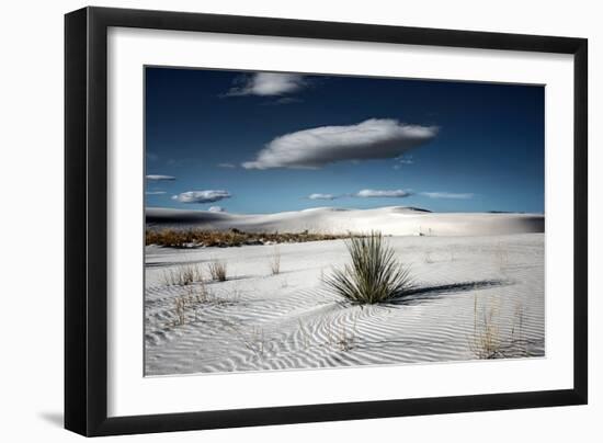 Desert Scene in USA-Jody Miller-Framed Photographic Print