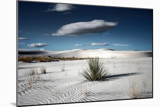 Desert Scene in USA-Jody Miller-Mounted Photographic Print