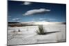 Desert Scene in USA-Jody Miller-Mounted Photographic Print