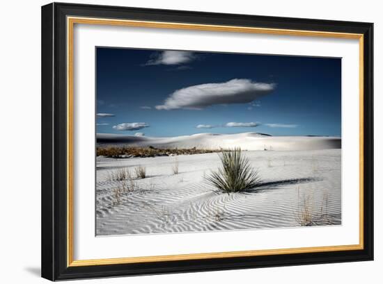 Desert Scene in USA-Jody Miller-Framed Photographic Print