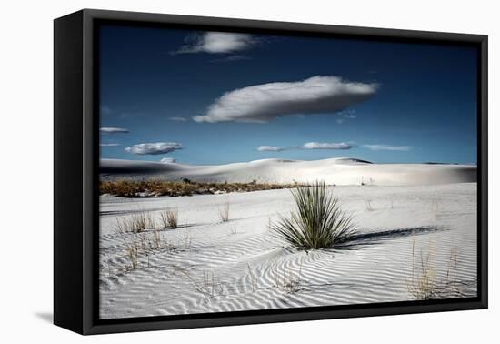 Desert Scene in USA-Jody Miller-Framed Premier Image Canvas