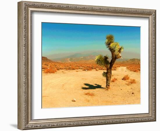 Desert Scene with Cactus Plant-Salvatore Elia-Framed Photographic Print