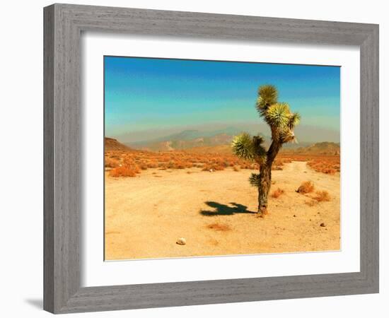 Desert Scene with Cactus Plant-Salvatore Elia-Framed Photographic Print