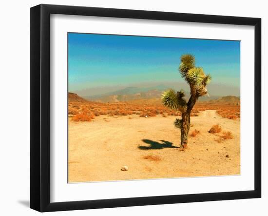 Desert Scene with Cactus Plant-Salvatore Elia-Framed Photographic Print
