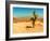 Desert Scene with Cactus Plant-Salvatore Elia-Framed Photographic Print