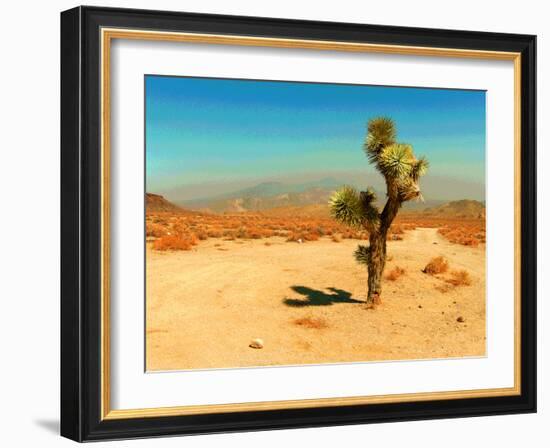 Desert Scene with Cactus Plant-Salvatore Elia-Framed Photographic Print