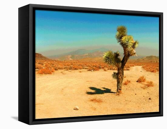 Desert Scene with Cactus Plant-Salvatore Elia-Framed Premier Image Canvas