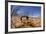 Desert Scorpion (Parabuthus Villosus) Namib Desert, Namibia-Solvin Zankl-Framed Photographic Print