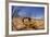 Desert Scorpion (Parabuthus Villosus) Namib Desert, Namibia-Solvin Zankl-Framed Photographic Print