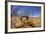 Desert Scorpion (Parabuthus Villosus) Namib Desert, Namibia-Solvin Zankl-Framed Photographic Print