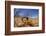 Desert Scorpion (Parabuthus Villosus) Namib Desert, Namibia-Solvin Zankl-Framed Photographic Print