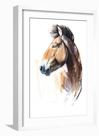 Desert Spirit (Przewalski), 2013-Mark Adlington-Framed Giclee Print