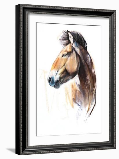 Desert Spirit (Przewalski), 2013-Mark Adlington-Framed Giclee Print