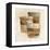 Desert Still Life II-Albena Hristova-Framed Stretched Canvas