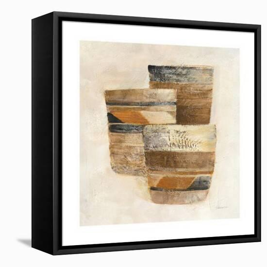 Desert Still Life II-Albena Hristova-Framed Stretched Canvas