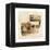 Desert Still Life III-Albena Hristova-Framed Stretched Canvas