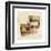 Desert Still Life III-Albena Hristova-Framed Art Print