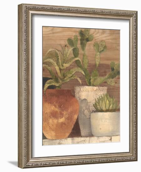 Desert Still Life Light Crop-Albena Hristova-Framed Art Print