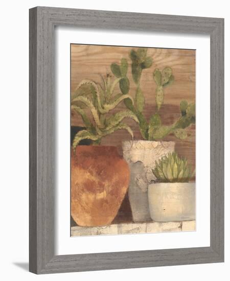 Desert Still Life Light Crop-Albena Hristova-Framed Art Print